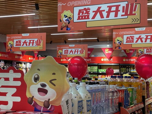 家乐福零售云华西区首家加盟店亮相昆明，加速布局针纺织品市场